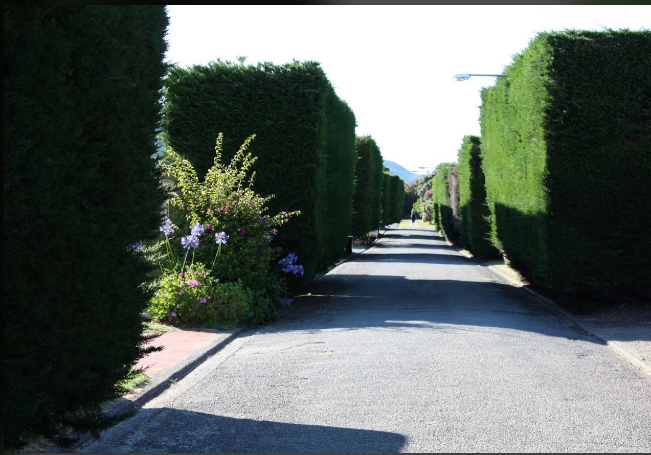 Our tree lined driveway, large outfits may need to take extra care